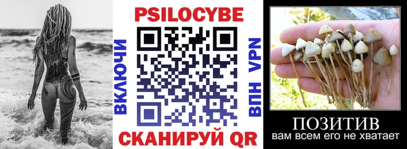 Псилоцибиновые грибы Psilocybe  как найти наркотики  OMG tor  Полесск 